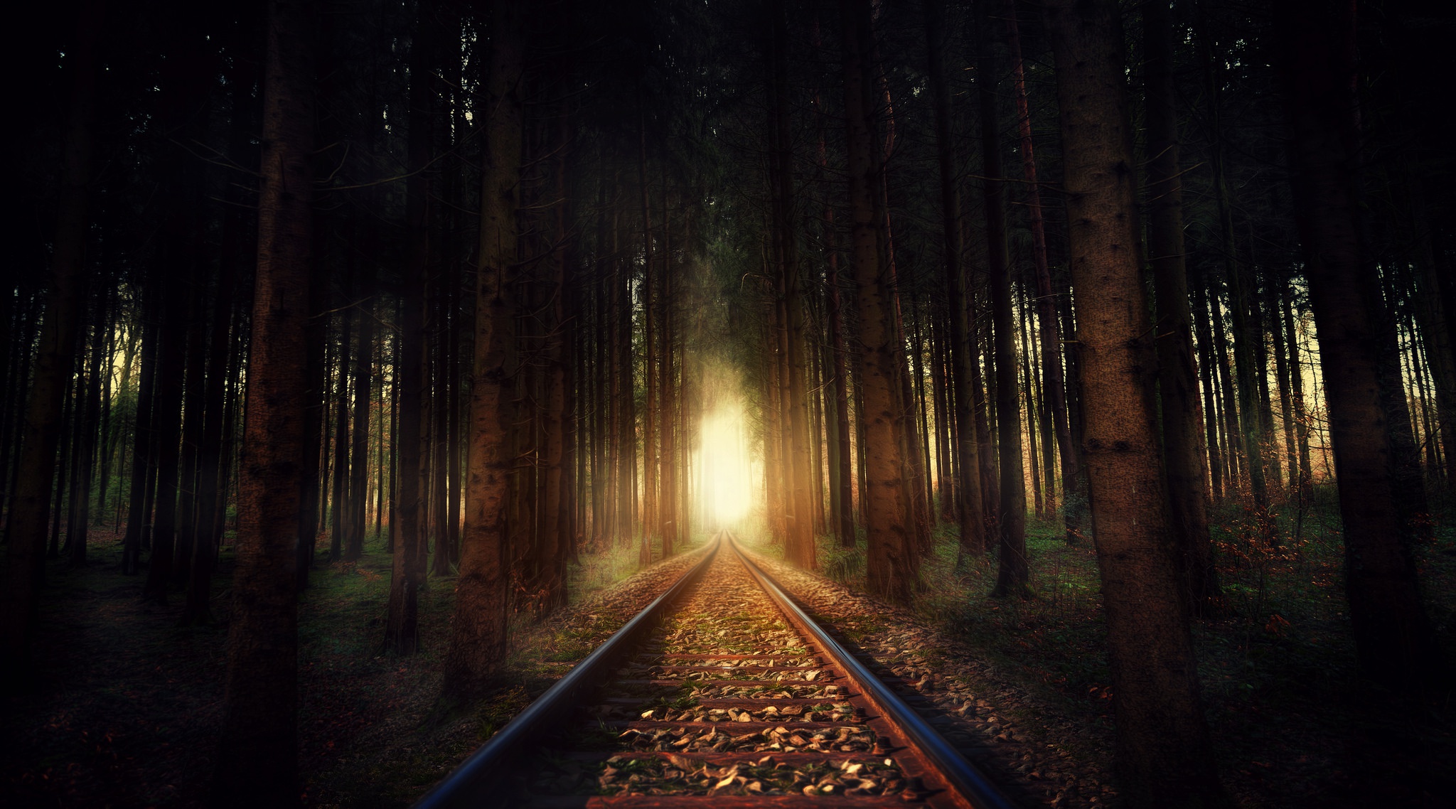 dark, Railway, Sunlight, Forest, Trees Wallpapers HD / Desktop and ...
