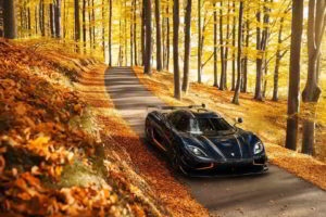 Agera R, Fall, Car, Leaves, Trees, Koenigsegg