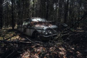 trees, Car, Wreck, Vehicle