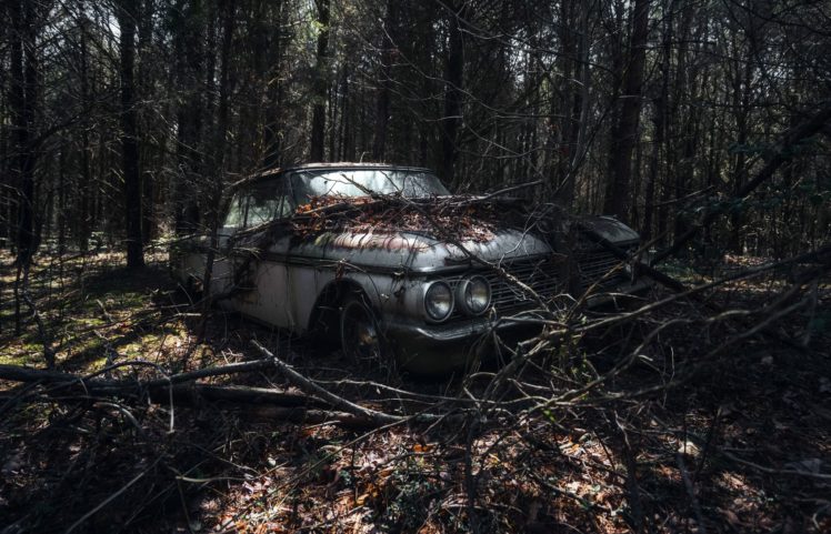 trees, Car, Wreck, Vehicle HD Wallpaper Desktop Background