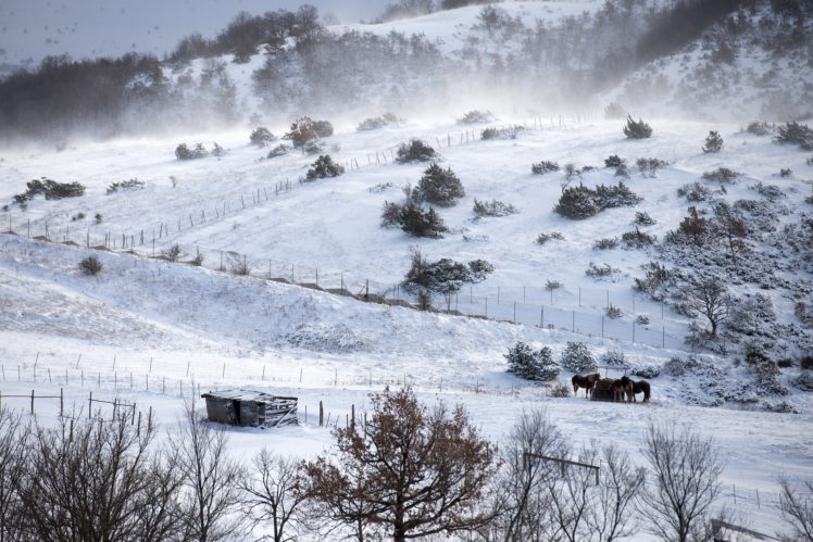 nature, Landscape, Winter, Snow HD Wallpaper Desktop Background