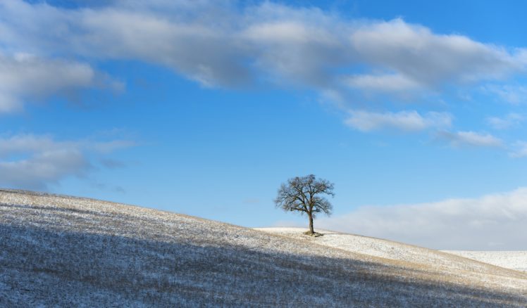 nature, Landscape, Blue, Sky, Trees, Winter HD Wallpaper Desktop Background