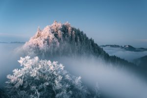 nature, Landscape, Winter