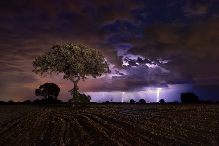 dark, Landscape, Field, Night, Storm, Sky, Trees, Lightning Wallpapers HD /  Desktop and Mobile Backgrounds