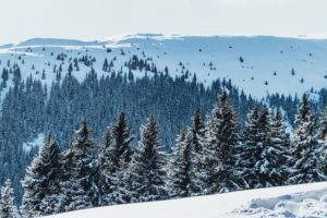 Paul Gilmore, Austria, Snow, Mountains, Nature, Landscape, Far view, Tundra, Trees, Pine trees