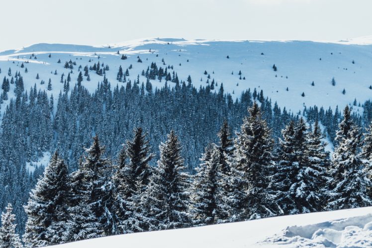 Paul Gilmore, Austria, Snow, Mountains, Nature, Landscape, Far view, Tundra, Trees, Pine trees HD Wallpaper Desktop Background
