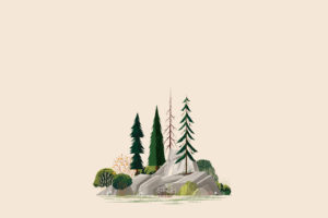 illustration, Forest, Trees, Rock