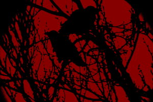 crow, Red, Black, Minimalism, Branch
