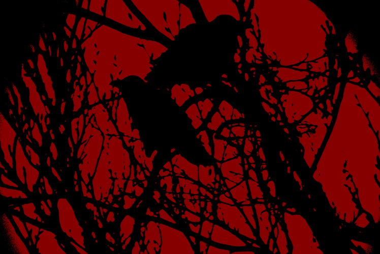 crow, Red, Black, Minimalism, Branch HD Wallpaper Desktop Background