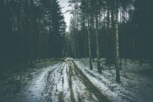 winter, Landscape, Nature, Forest
