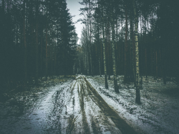 winter, Landscape, Nature, Forest HD Wallpaper Desktop Background