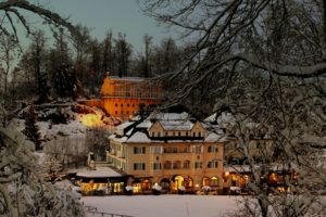 architecture, Castle, Nature, Landscape, Trees, Forest, Snow, Winter, Branch, Lights, Hotel, Germany