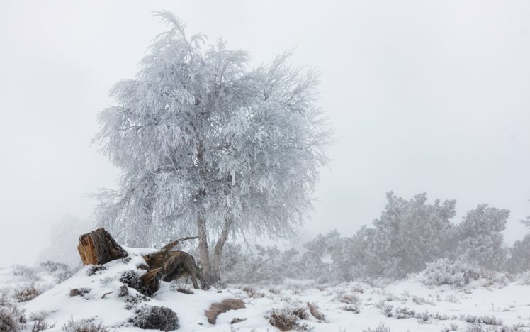 winter, Nature, Snow, Landscape, Trees HD Wallpaper Desktop Background