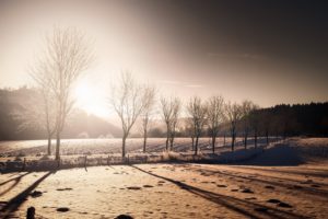 winter, Landscape, Nature, Trees, Snow