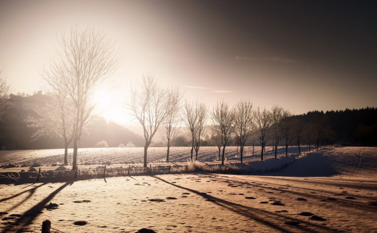 winter, Landscape, Nature, Trees, Snow HD Wallpaper Desktop Background