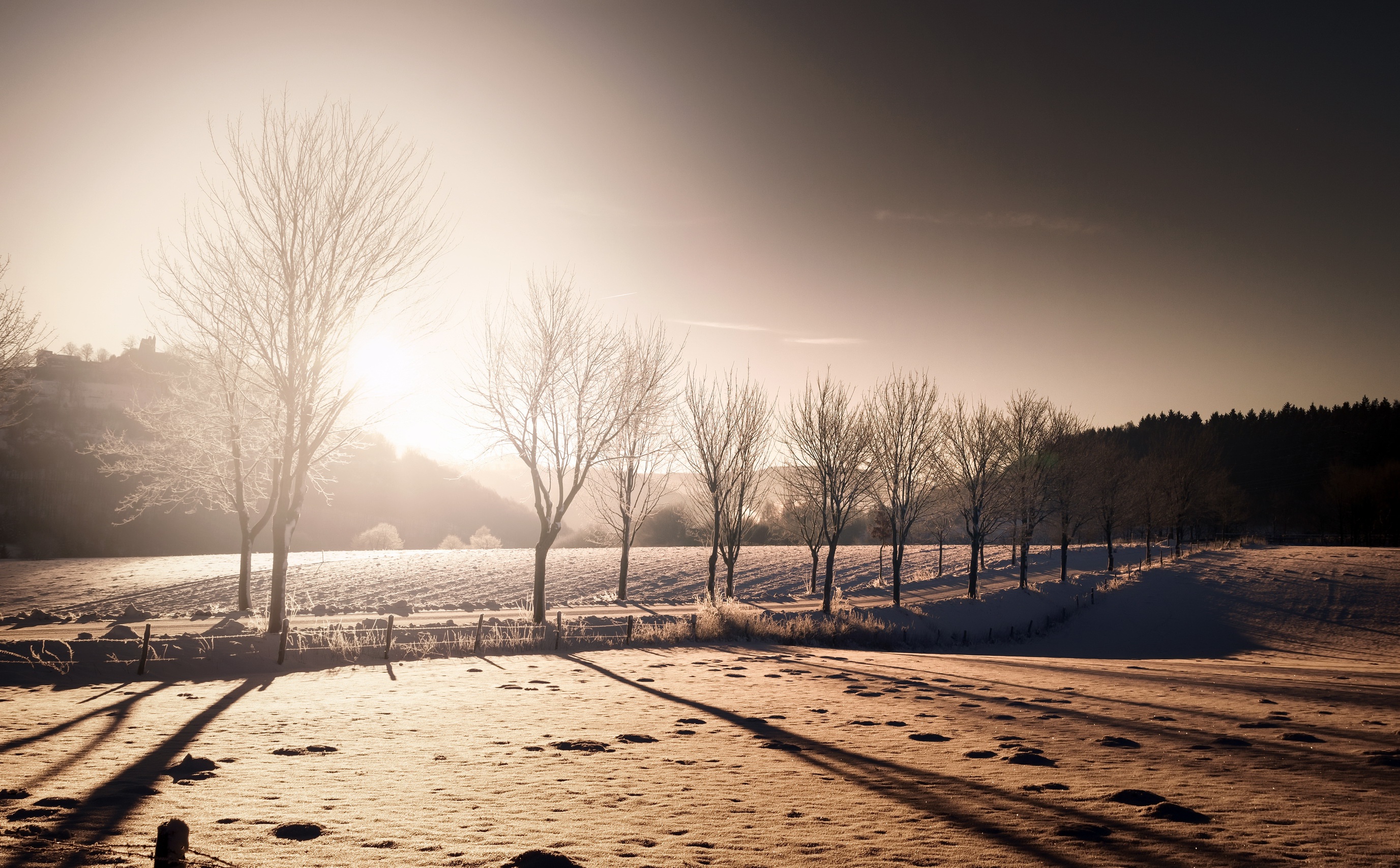 winter, Landscape, Nature, Trees, Snow Wallpaper