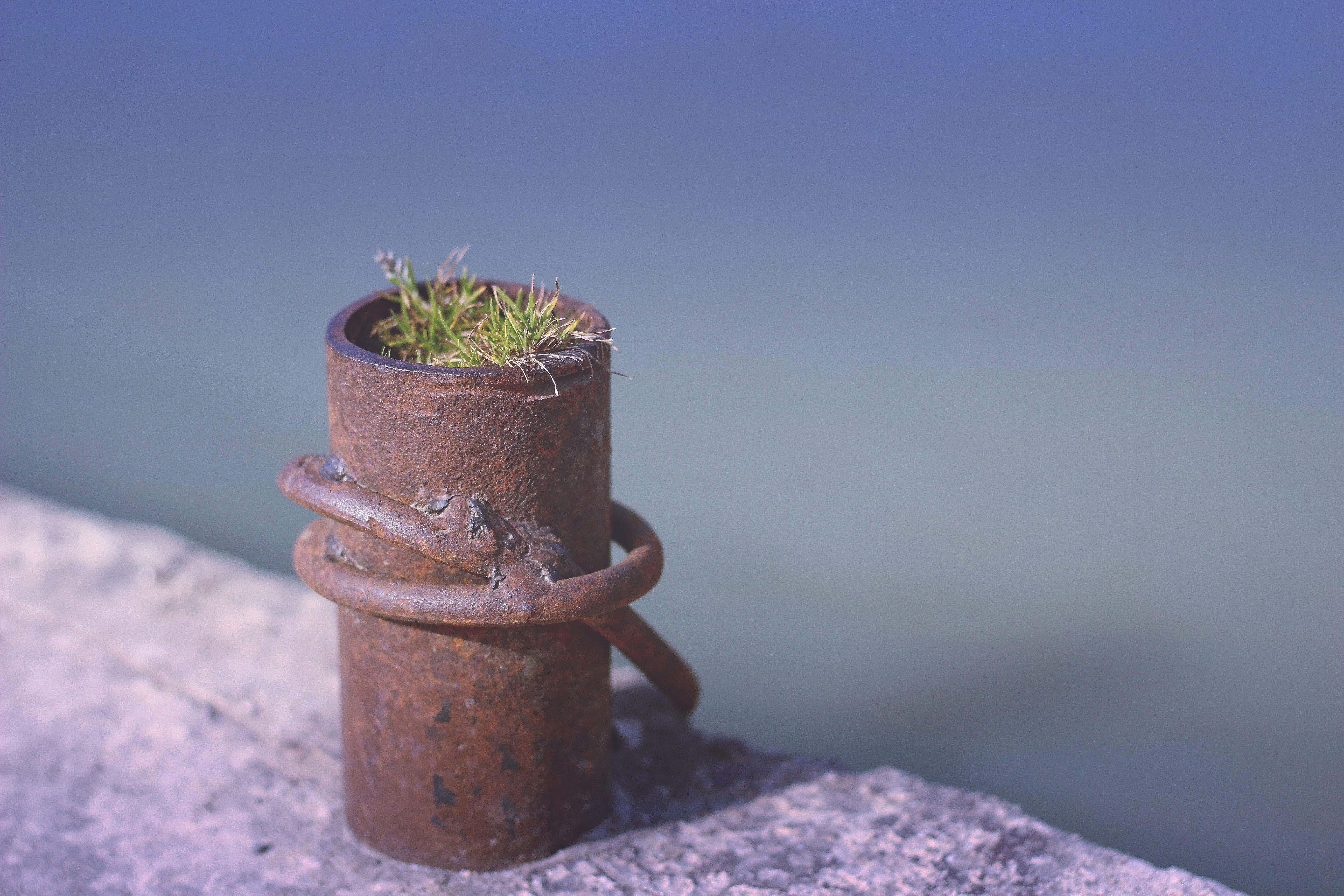 minimalism, Blue, Grass, Plants Wallpaper