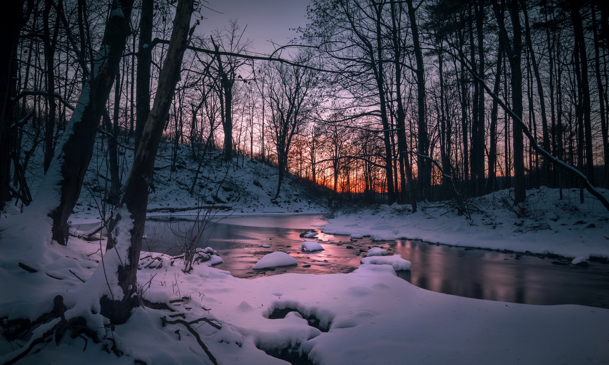 Nature Dark Snow Water Landscape Trees Wallpapers Hd Desktop And Mobile Backgrounds