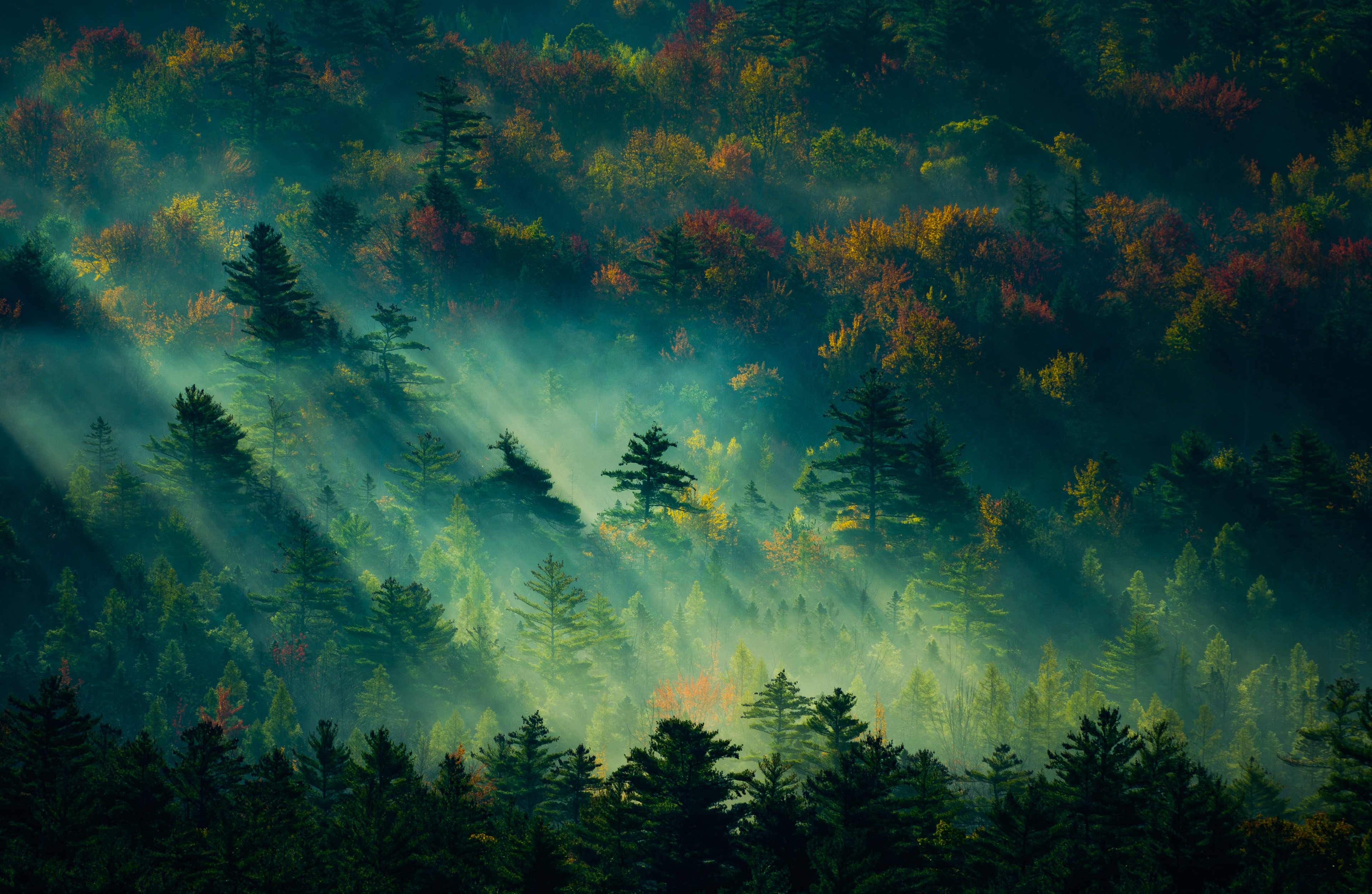 landscape, Mist, Fall, USA, New Hampshire, Sunbeams, Nature, Forest, Trees, Dappled sunlight, Sunlight Wallpaper