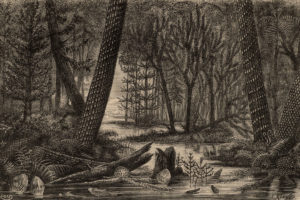 E. Meunier, Nature, Landscape, Monochrome, Sepia, Jungle, Prehistoric, Trees, River, Plants, Engraving, Water