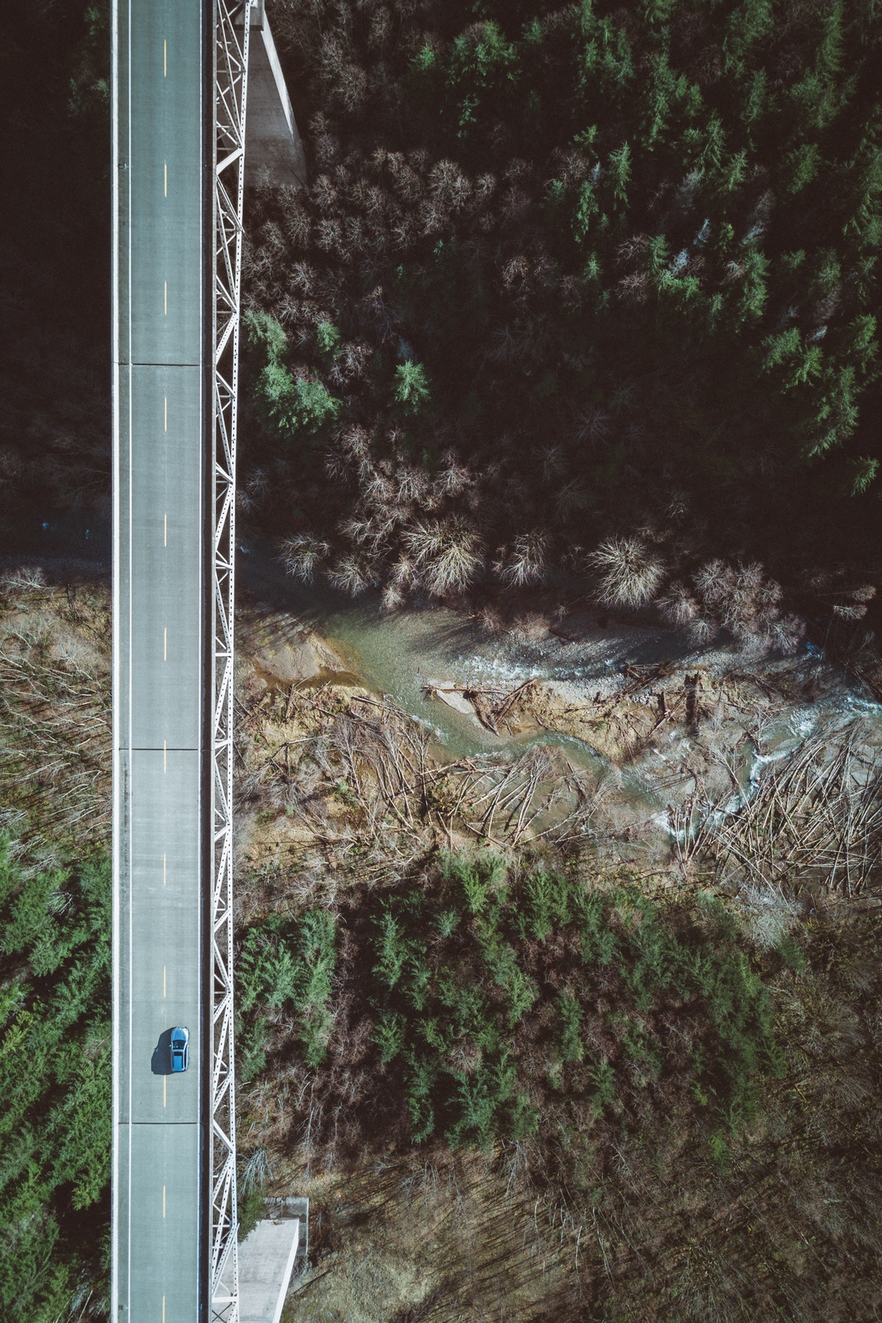aerial view, Trees, Portrait display, Bridge, Dead trees, Forest, Water, Car, USA Wallpaper