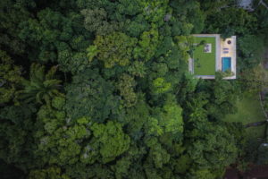 trees, Forest, Swimming pool, Jungle, Rainforest, House, Rooftops, Palm trees, Grass, Brasil, Modern, Drone photo