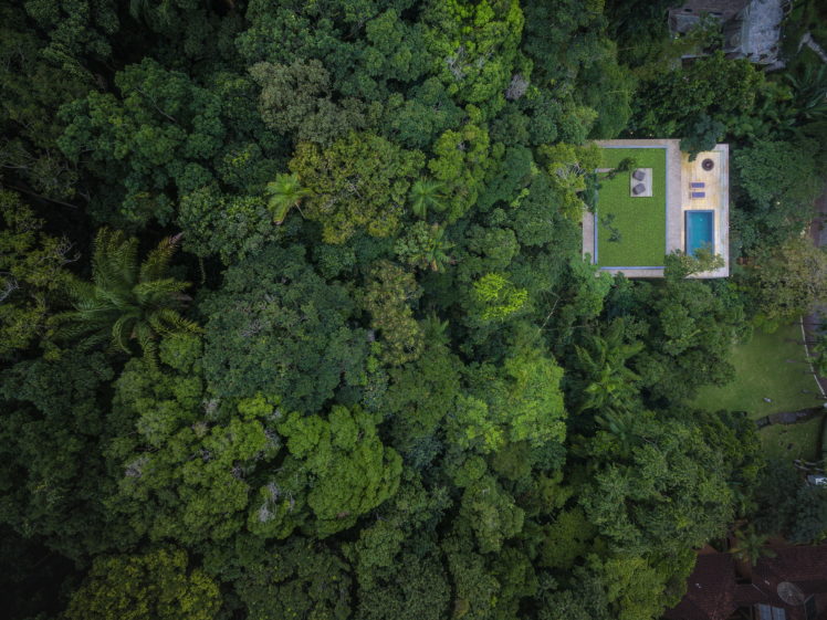 trees, Forest, Swimming pool, Jungle, Rainforest, House, Rooftops, Palm trees, Grass, Brasil, Modern, Drone photo HD Wallpaper Desktop Background