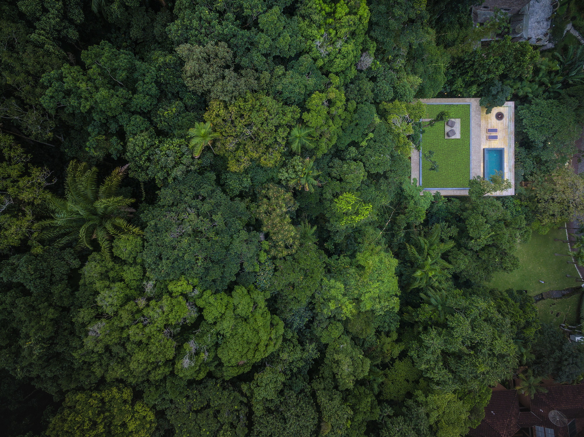 trees, Forest, Swimming pool, Jungle, Rainforest, House, Rooftops, Palm trees, Grass, Brasil, Modern, Drone photo Wallpaper