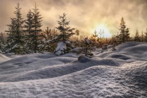 snow, Winter, Nature, Landscape, Trees