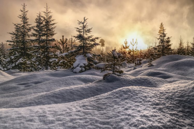 snow, Winter, Nature, Landscape, Trees HD Wallpaper Desktop Background