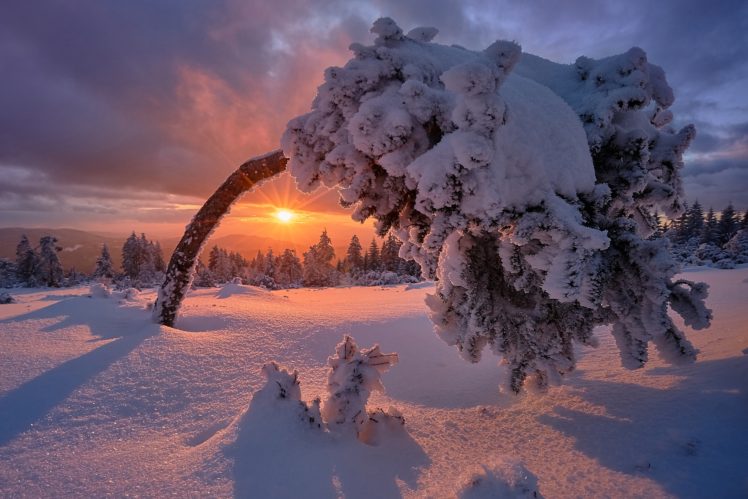 snow, Winter, Germany, Landscape, Sunlight, Nature HD Wallpaper Desktop Background