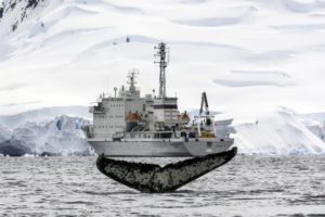 Arctic, Ship, Nature, Whale