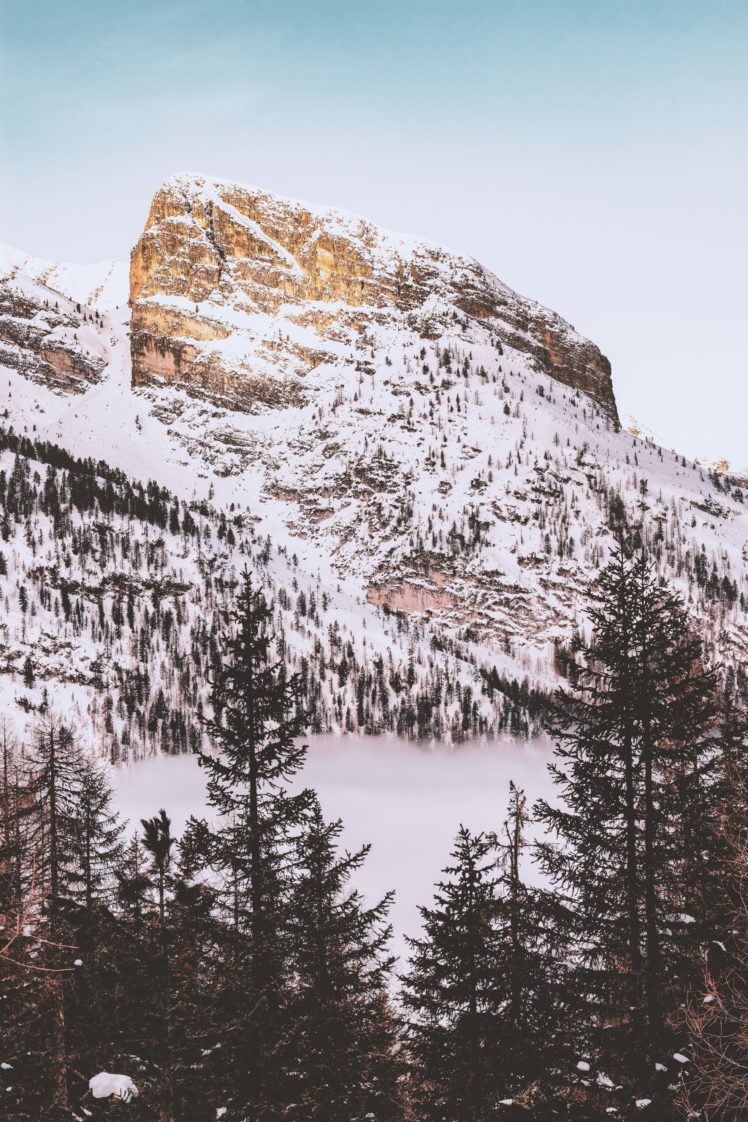 nature, Snow, Trees, Mountains HD Wallpaper Desktop Background