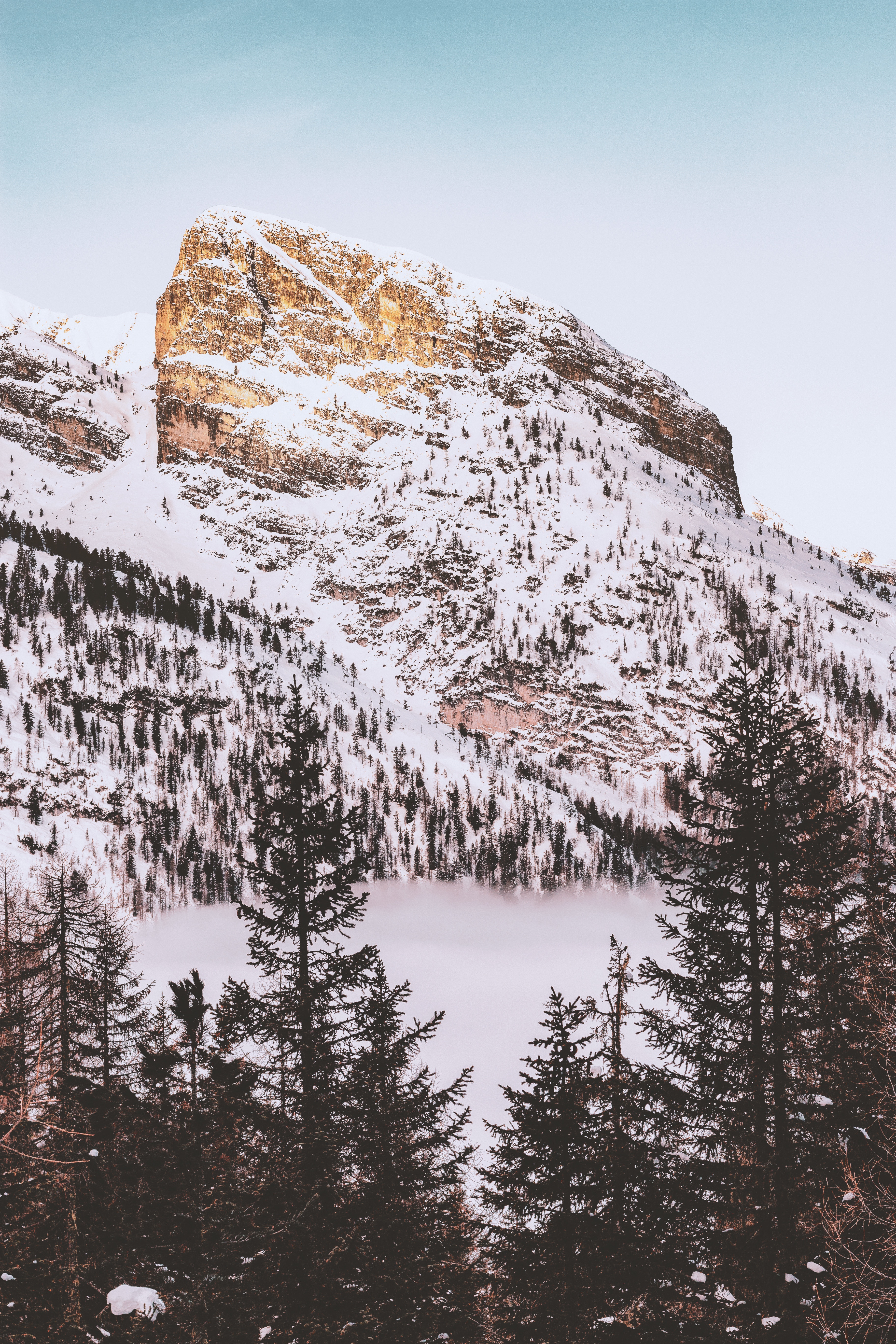 nature, Snow, Trees, Mountains Wallpaper