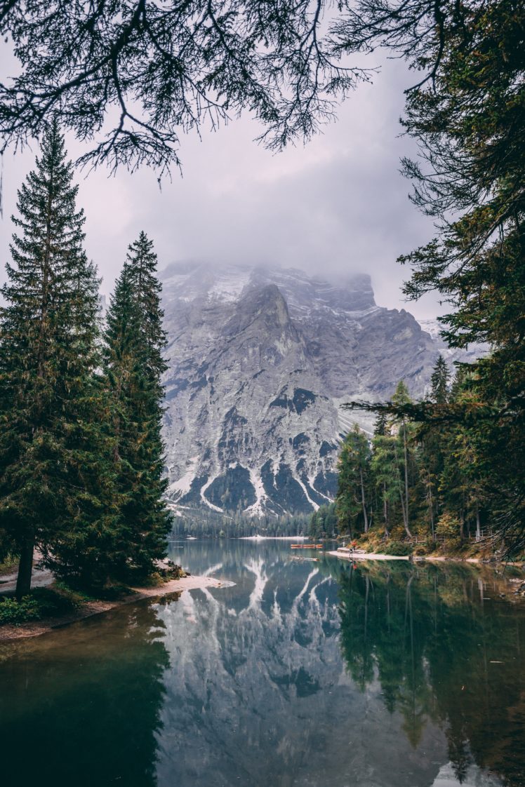 nature, Trees, Water, Mountains HD Wallpaper Desktop Background
