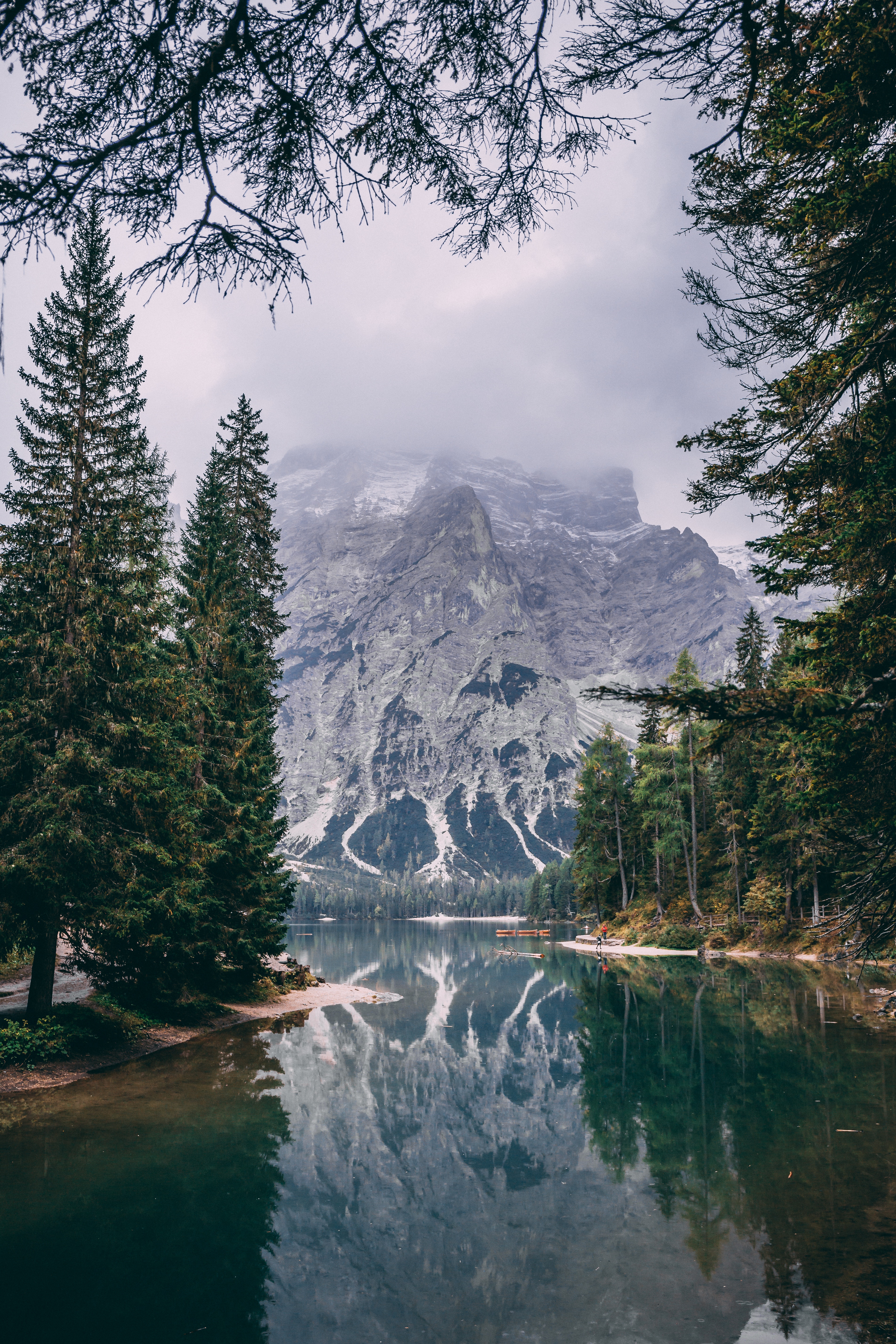 nature, Trees, Water, Mountains Wallpaper