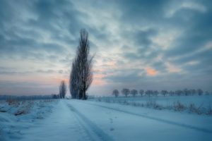 nature, Winter, Sky, Landscape, Trees