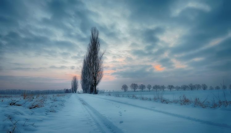 nature, Winter, Sky, Landscape, Trees HD Wallpaper Desktop Background