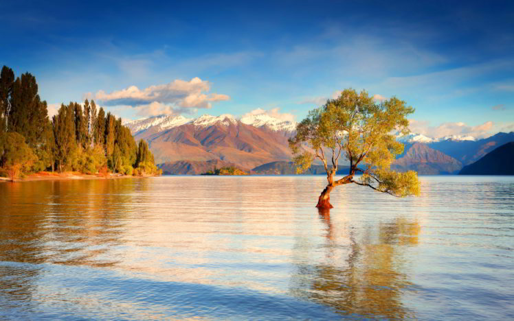 New Zealand, Lake, Snow, Mountains, Forest, Clouds HD Wallpaper Desktop Background