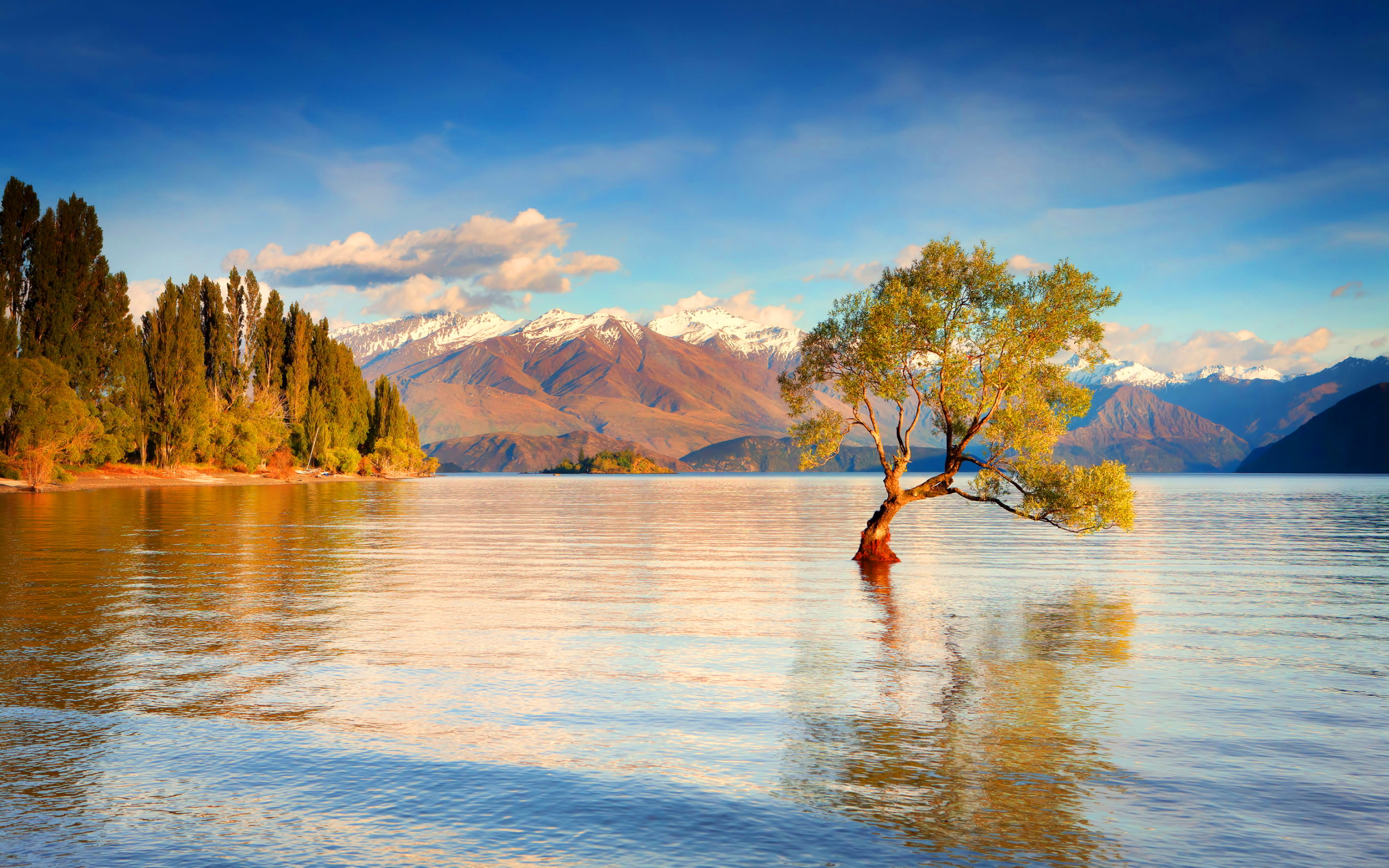 New Zealand, Lake, Snow, Mountains, Forest, Clouds Wallpaper