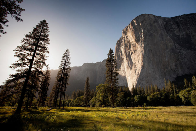 mountains, Landscape, Forest, Nature, Trees, Grass, Clear sky, Yosemite National Park, El Capitan HD Wallpaper Desktop Background