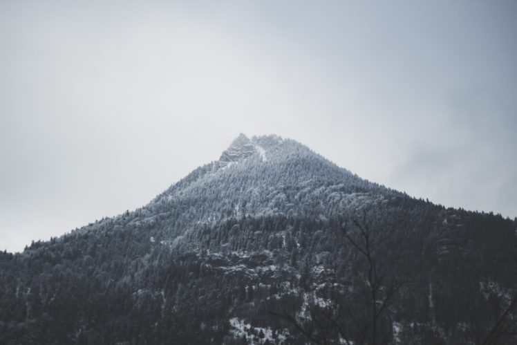 Alps, Mountains, Snow, Mist, Forest, Clouds, Landscape HD Wallpaper Desktop Background