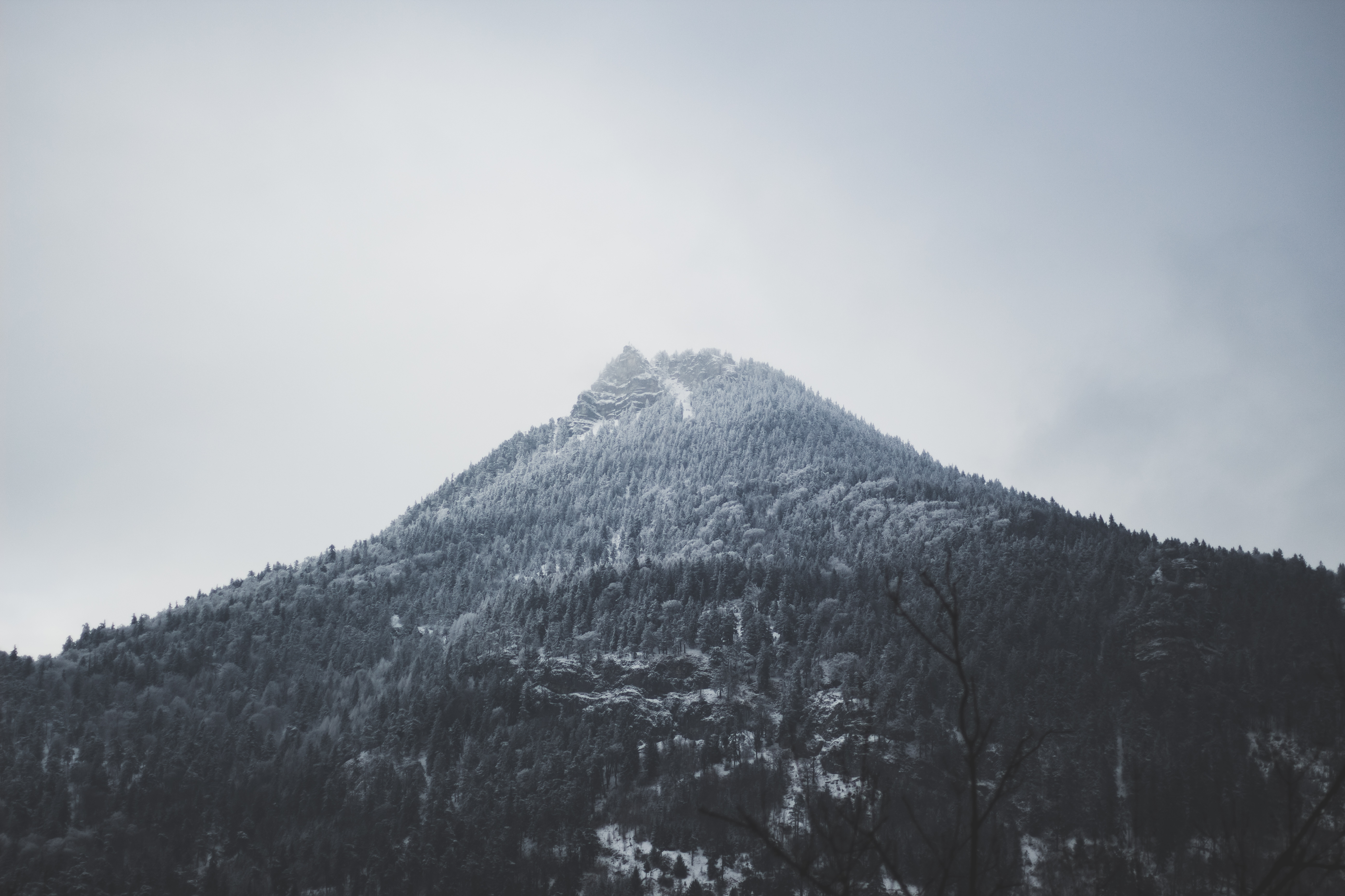 Alps, Mountains, Snow, Mist, Forest, Clouds, Landscape Wallpaper