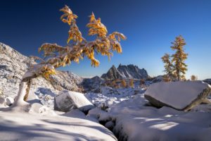 nature, Snow, Winter, Landscape