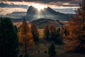 Dolomites (mountains), Nature, Fall, Clouds, Animals