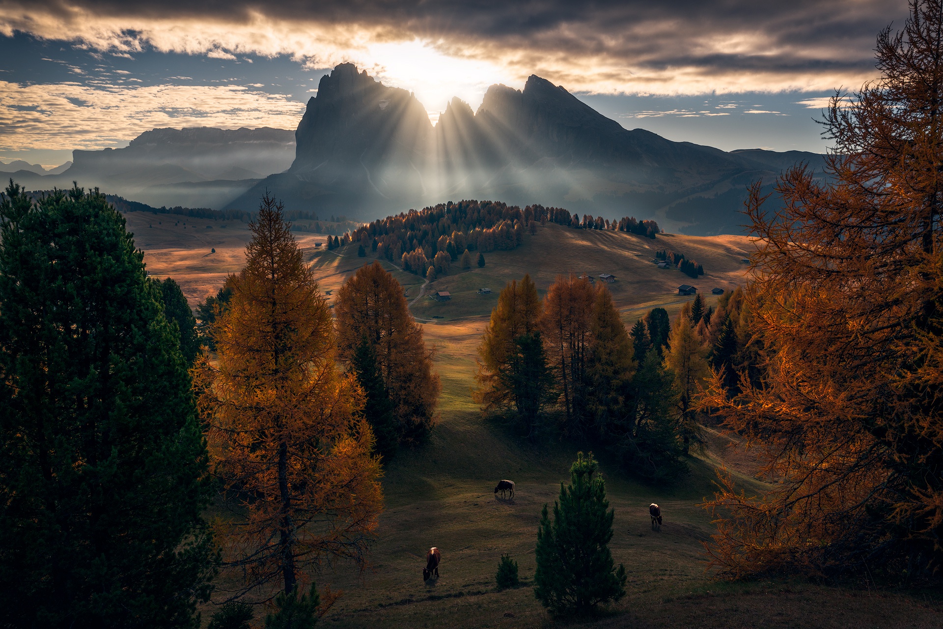 Dolomites (mountains), Nature, Fall, Clouds, Animals Wallpaper