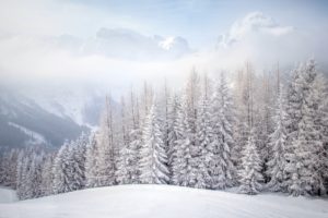nature, Winter, Snow, Trees, Landscape
