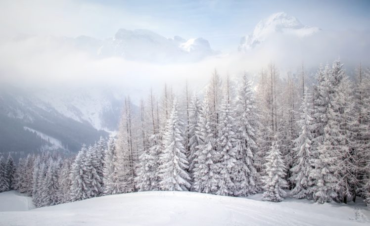 nature, Winter, Snow, Trees, Landscape HD Wallpaper Desktop Background