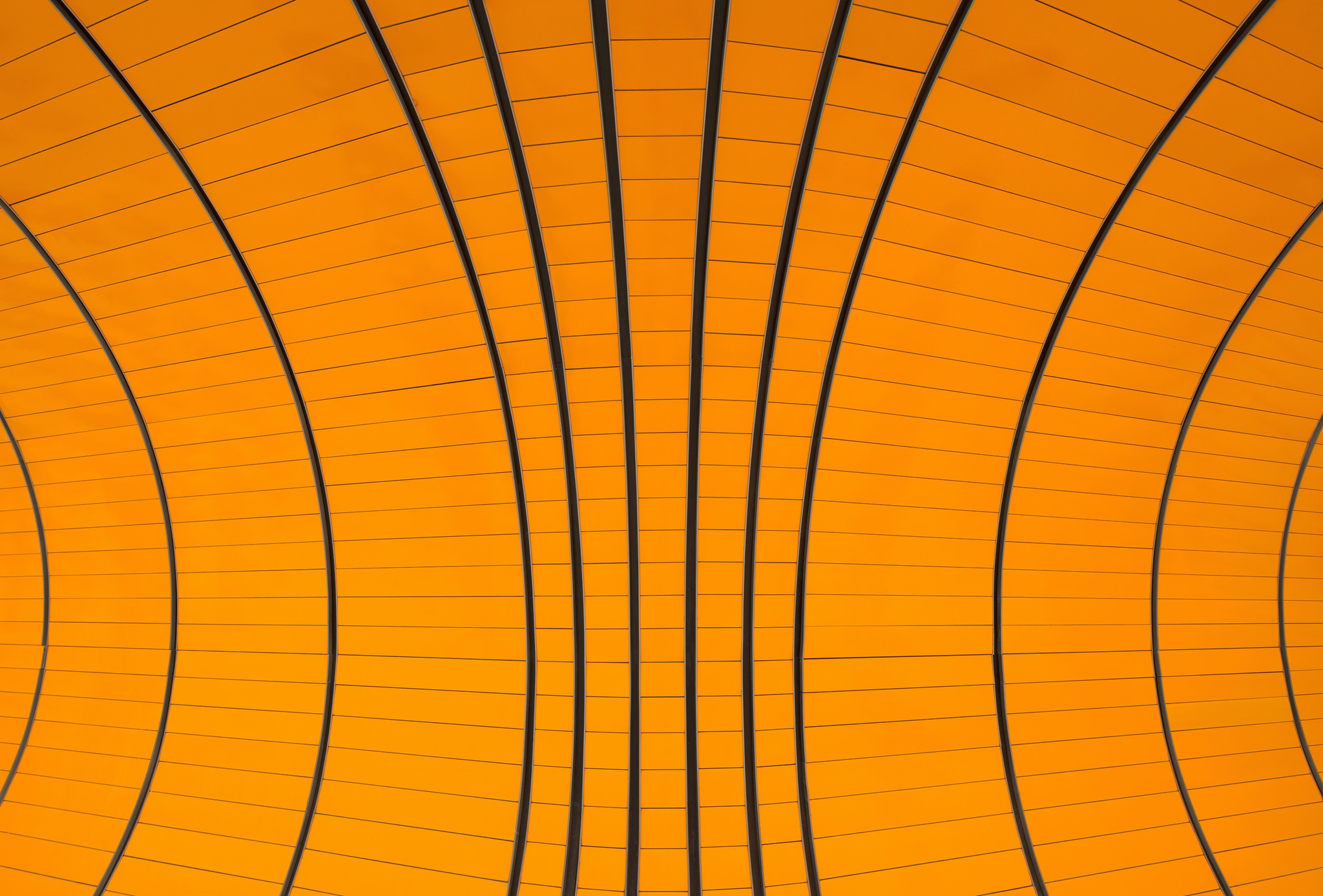 orange, Texture, Pattern Wallpaper