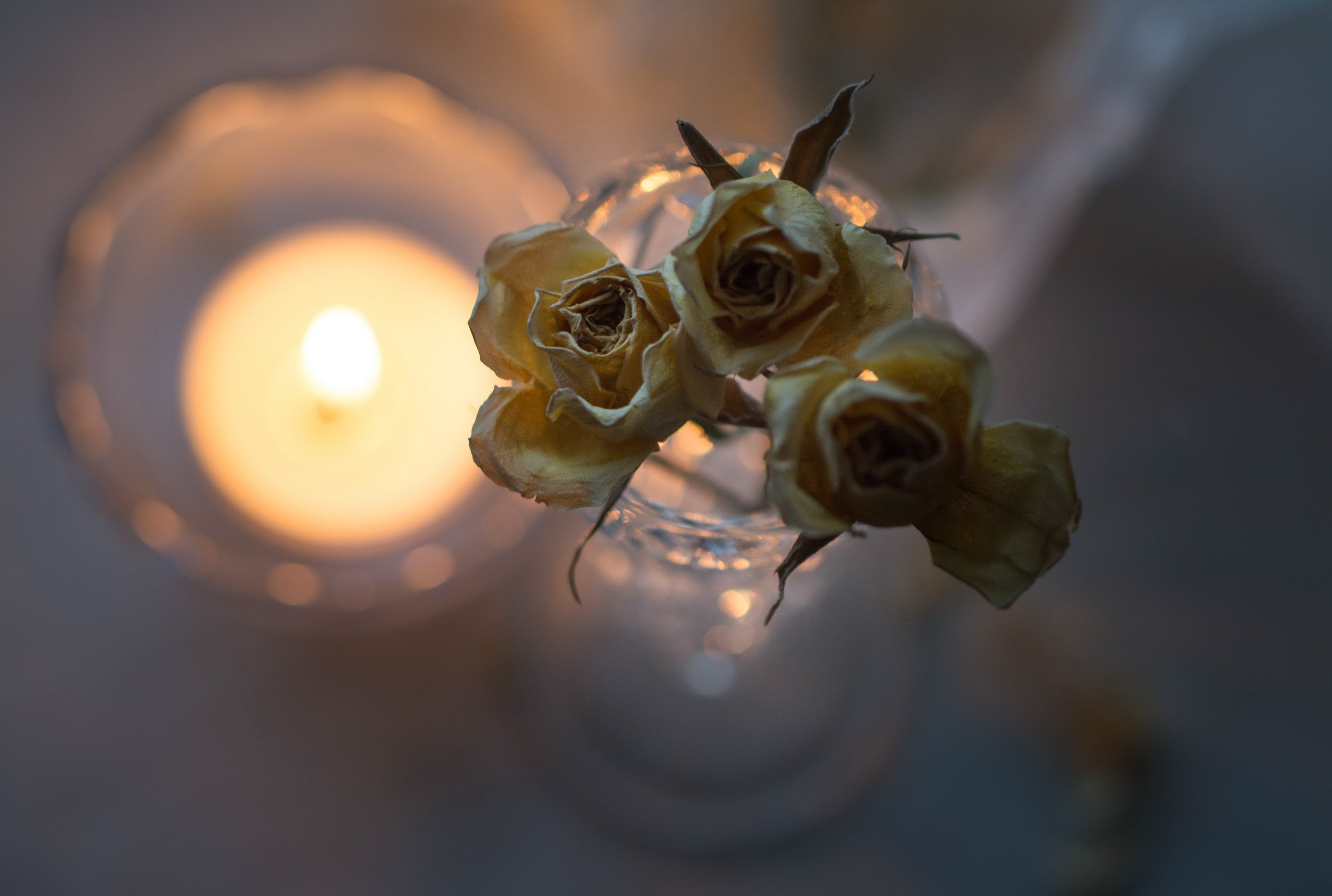 flowers, Candles Wallpaper